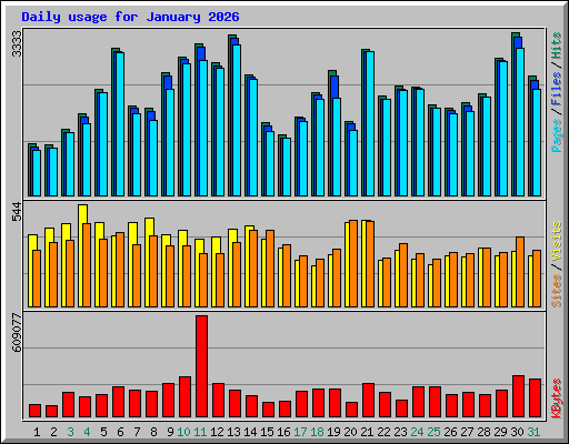 Daily usage for January 2026