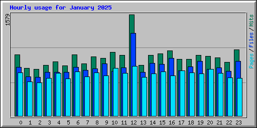 Hourly usage for January 2025