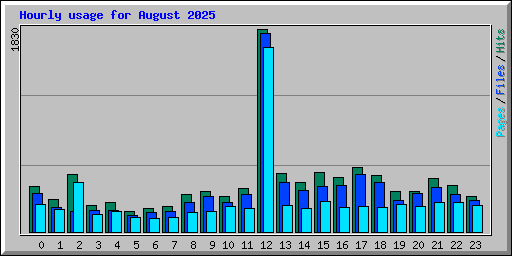 Hourly usage for August 2025