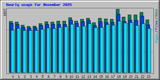 Hourly usage for November 2025