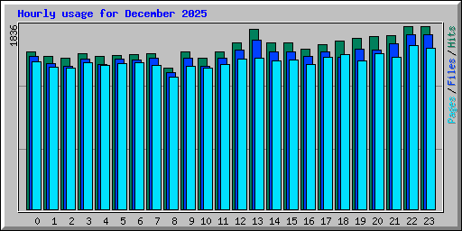 Hourly usage for December 2025
