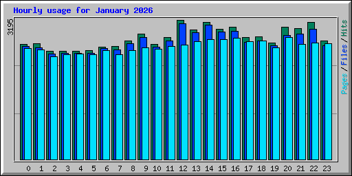 Hourly usage for January 2026
