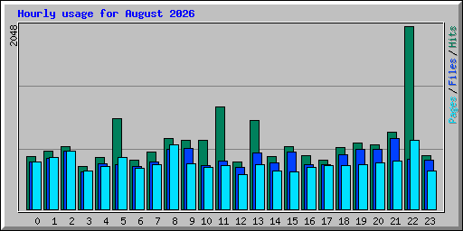 Hourly usage for August 2026